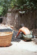 Jpeg 49K One of the dyers spreading out to dry the charcoal which is a bi-product of the dyeing process - Amarapura, Shan State 9809f17.jpg