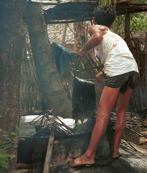 Draining off the excess dye over the dye bath - Amarapura, Shan State 9809f29.jpg