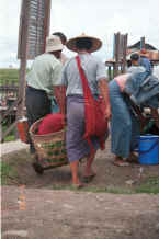 to Jpeg K Men carry their purchases back to their boat wearing their longyis woven with indigo dyed thread - Nampan market, Lake Inle, Shan State 9809o19.jpg