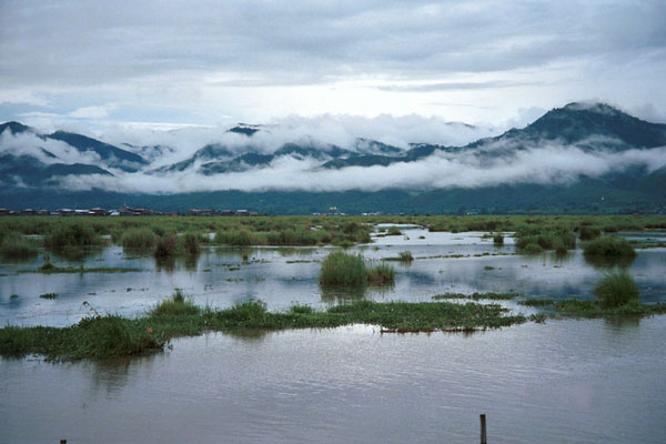 Jpeg 48K 9809P25  Lake Inle, Shan State.