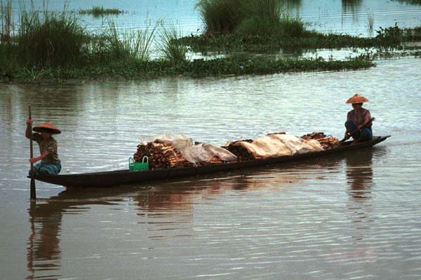 Jpeg 43K 9809P30  Inthas paddling in the evening with their boat loaded with firewood. Lake Inle, Shan State.