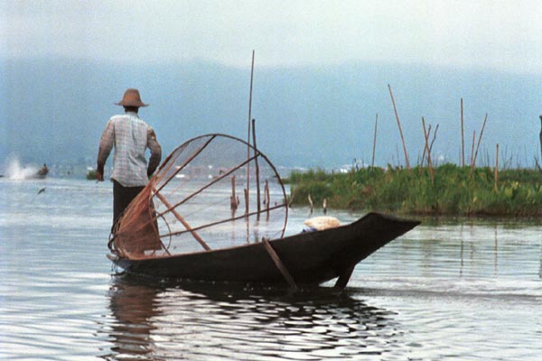 Jpeg 41K 9809Q07 Intha fisherman on Lake Inle, Shan State.