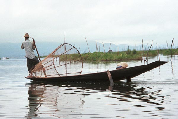 Jpeg 39K 9809Q09 Intha fisherman leg-rowing on Lake Inle, Shan State.