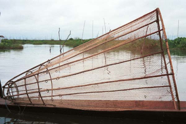 Jpeg 39K 9809Q10 Intha fishing net onLake Inle, Shan State.