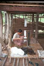 to Jpeg 47K 9809R01 Winding off thread for weaving prior to the dyeing process - Lake Inle, Shan State.