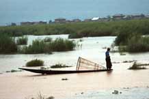 to Jpeg 42K 9809R19  Intha fisherman in the evening on Lake Inle, Shan State.