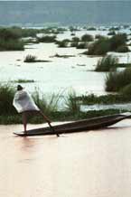 to Jpeg 45K 9809R20  Intha boatman leg-rowing in the evening rain, Lake Inle, Shan State.