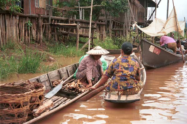 Jpeg 51K 9809R24 Selling firewood at the floating market at Ywama, Lake Inle, Shan State.