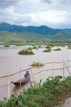 to Jpeg 36K  9809S04 Intha boatman on Lake Inle, Shan State.