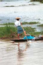 to Jpeg 48K 9809S07 Intha leg-rower on Lake Inle, Shan State.