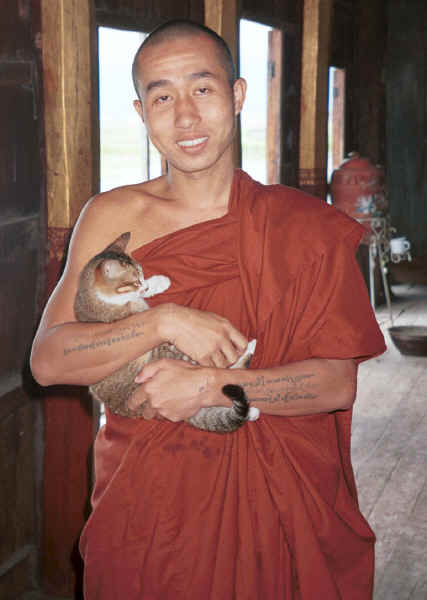 Jpeg 23K A monk with one of his jumping cats at Nga Phe Kyaung monastery, Lake Inle, Shan State, Myanmar 9809Q14A.jpg