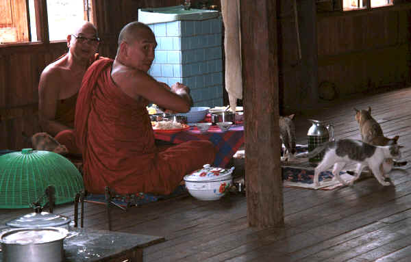 Jpeg 26K Monks eating with their cats at Nga Phe Kyaung monastery, Lake Inle, Shan State, Myanmar 9809Q22.JPG