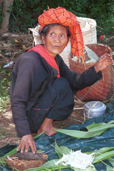 31K Jpeg 9809I19 Pa'O market trader with her various small amounts of produce for sale at the Kalaw 5-day rotating market, Shan State.