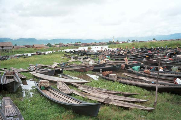 44K Jpeg 9809N08 Boats drawn up at the water's edge for the 5 - day rotating market at Nampan on Lake Inle, Shan State.