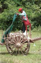 to 54K Jpeg 9809O24 Man (probably Pa'O) on a bullock cart covering the bags of rice that he had bought at Nampan 5-day rotating market, Shan State