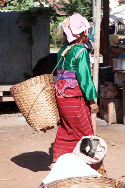 72K Jpeg Silver Palaung woman with a bask on her back striding through the market in Kalaw, Shan State