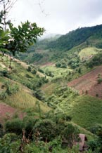 to 80K Jpeg Looking down into a narrow valley during the climb up the track to Pein Ne Bin village, a Silver Palaung village, near Kalaw in southwestern Shan State