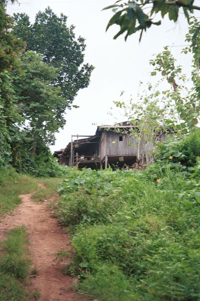 81K Jpeg Looking up the path at the entrance to Pein Ne Bin village, a Silver Palaung village, near Kalaw in southwestern Shan State