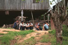 to 86K Jpeg A group of young men near the entrance to the Silver Palaung village of Pein Ne Bin near Kalaw, northwestern Shan State