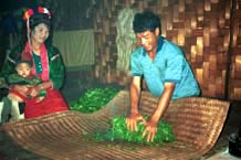 to 77K Jpeg Tea has been treated in hot water and is being drained in Pein Ne Bin village, a Silver Palaung village, near Kalaw in southwestern Shan State. Note the woman wearing traditional Silver Palaung clothing and a velvet decorated with woollen bobbles. This hat is reputed to be worn by young girls and unmarried women. This woman would appear to be with her baby and husband! The baby is wearing a pieced hat.