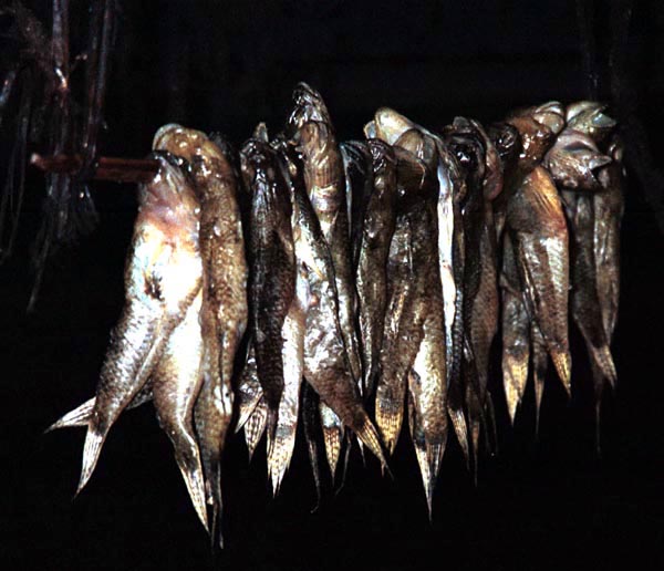 70K Jpeg Freshwater fish hanging up in a Silver Palaung house in Pein Ne Bin village near Kalaw, southwestern Shan state.