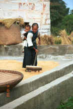 Jpeg 44K Bouyei grandmother raking out the drying rice in front of the family house with her grandchild on her back asleep - Bi Ke village, Mi Gu township, Zhenfeng county, Guizhou province 0010r28.jpg