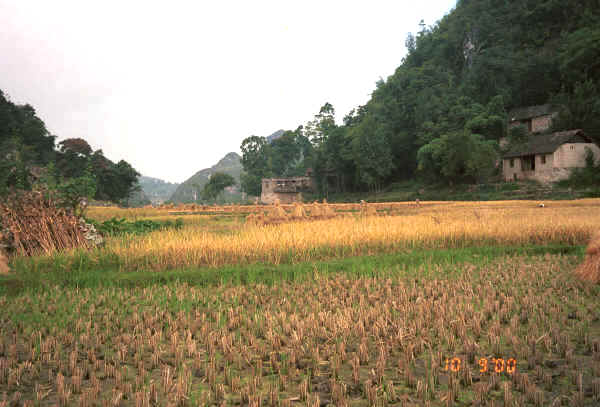 View up the valley from Bi Ke village, Mi Gu township, Zhenfeng county, Guizhou province 0010s02.jpg