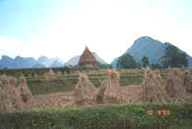 Jpeg 24K Harvest scene near Bi Ke village, Mi Gu township, Zhenfeng county, Guizhou province 0010t13.jpg