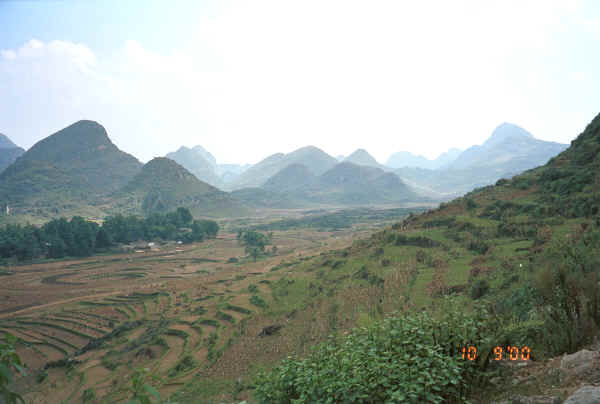 Looking down the terraces Bi Ke village, Mi Gu township, Zhenfeng county, Guizhou province 0010t17.jpg