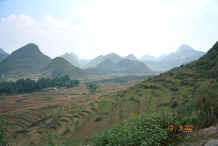 Jpeg 22K Looking down the terraces Bi Ke village, Mi Gu township, Zhenfeng county, Guizhou province 0010t17.jpg