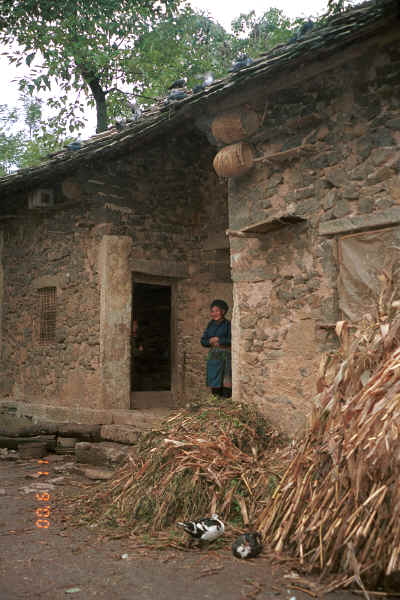 Pigeons on the slate roof of a stone house with their basket cotes below and the lady of the house near the door - Chang Tion village, Cheng Guan township, Puding county, Guizhou province 0010v35.jpg