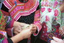 Jpeg 49K Examining some hemp or ramie fibre - Da Shu Jia village, Xin Zhou township, Longlin county, Guangxi province 0010i16.jpg