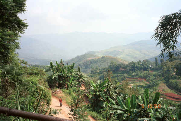 The view from Da Shu Jia village, Xin Zhou township, Longlin county, Guangxi province 0010i29.jpg