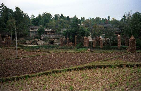 Jpeg 52K 0110D10 Gan He village, Ya Rong township, Huishui county, Guizhou province, south-west China. The people living in this village are known as Qing Miao. There has been much intermarriage between Miao and Bouyei which is evident from the costume of the women.