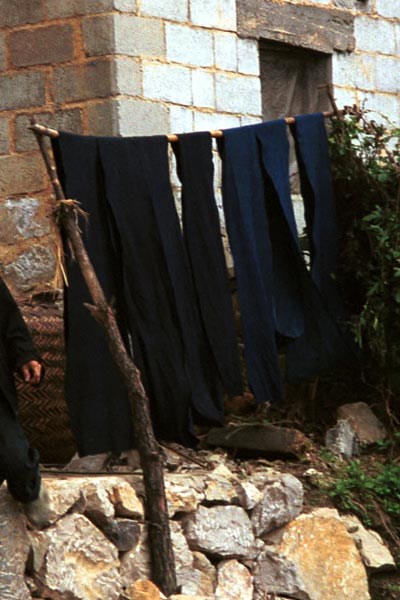 Jpeg 50K  0110E09 Long lengths of fabric hanging out on the line to oxidise in the indigo dyeing process in Gan He village, Ya Rong township, Huishui county, Guizhou province, south-west China. The people living in this village are known as Qing Miao. There has been considerable intermarriage between Miao and Bouyei and the costume is very mixed.