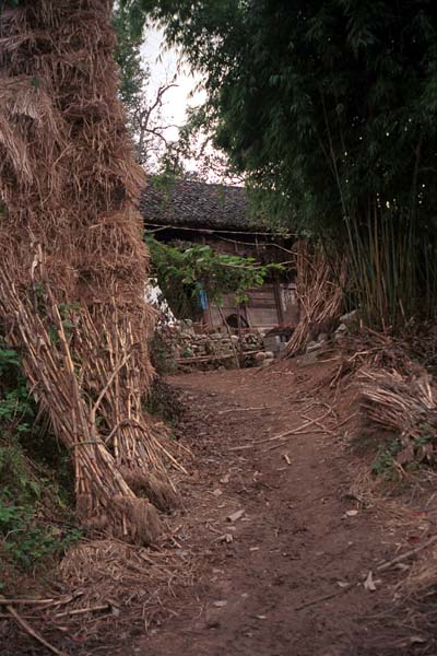 Jpeg 53K  0110E13 Path through the village in Gan He village, Ya Rong township, Huishui county, Guizhou province, south-west China. The people living in this village are known as Qing Miao. There has been considerable intermarriage between Miao and Bouyei and the costume is very mixed. 