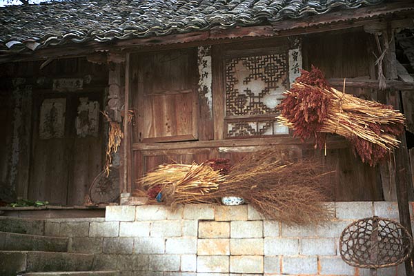 Jpeg 57K 0110E18  The harvest drying outside a house in Gan He village, Ya Rong township, Huishui county, Guizhou province. This is a Qing Miao (or Bouyei/Miao as there has been much intermarriage and the costume is very mixed). 