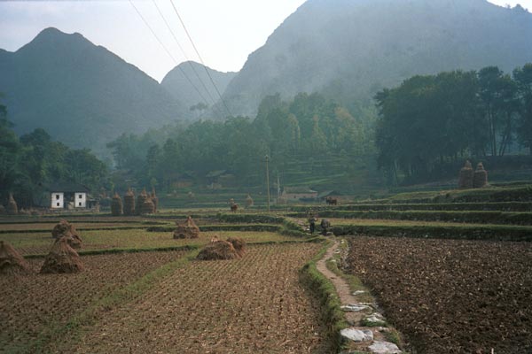 Jpeg 41K  0110E26 Fields and hills around Gan He village, Ya Rong township, Huishui county, Guizhou province. This is a Qing Miao (or Bouyei/Miao) village as there has been much intermarriage and the costume is very mixed). 