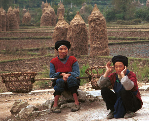 Jpeg 98K Iron beating Miao women on their way to their fields stopping to watch the proceedings against a backdrop of rice straw haystacks, Gao Zhai village, Bai Jin township, Huishui county, Guizhou province 0110C36