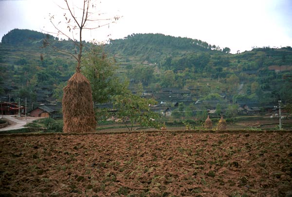 Jpeg 51K 0111F25tNovember 2001 in the Geijia village of Ma Tang, Kaili City, Guizhou province 