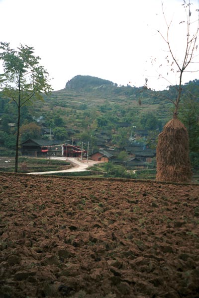 Jpeg 49K 0111F26 November 2001 in the Geijia village of Ma Tang, Kaili City, Guizhou province 