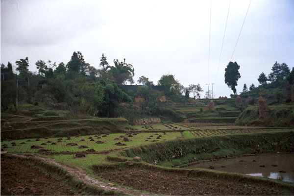 Jpeg 51K  0111H01 November 2001 in the Geijia village of Ma Tang, Kaili City, Guizhou province 