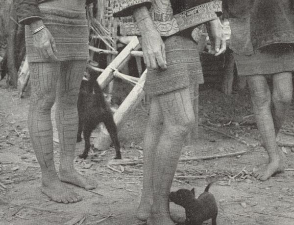 Jpeg 58K A three Ba-sa-dung women showing their tattoos and short woven skirts from the article in the September 1938 National Geographic by Leonard Clark telling of his 5-week trek into the interior of Hainan in the summer of 1937. Clark says that 'not until they are married are their hands tattooed'.  The girl in the centre does not appear to have her hands tattooed.  She is also wearing a more ornately embroidered blouse than the other two women from the glimpse showing in the photograph.