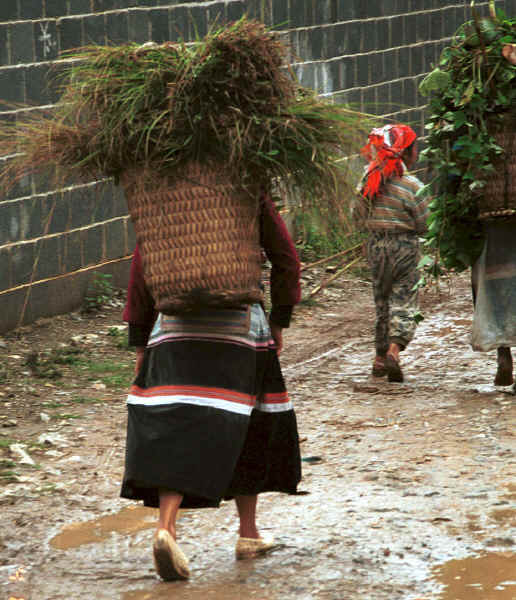 Coming back from the fields - Side comb Miao entering Long Dong village, De Wo township, Longlin country, Guangxi province 0010d17.jpg