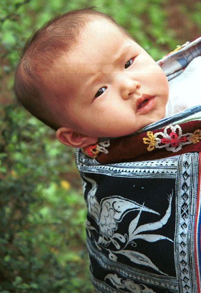 Jpeg 72K Miao baby looking out of his wax resist indigo baby carrier. Lou Jia Zhuang village, Anshun city, Guizhou province 0110B08