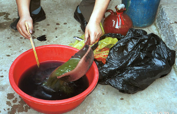 Jpeg 80K Mixing the indigo dye bath. Lou Jia Zhuang village, Anshun city, Guizhou province 0110B29