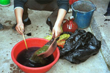 to Jpeg 80K Mixing the indigo dye bath. Lou Jia Zhuang village, Anshun city, Guizhou province 0110B29