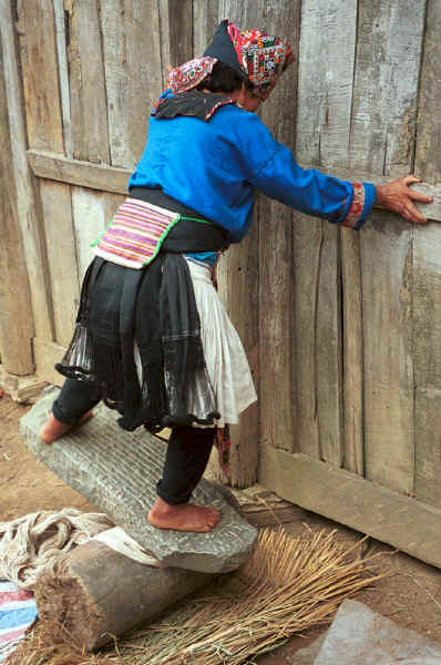 White Miao woman using rocking on a stone balanced on a tree trunk to soften hemp or ramie thread 0010j06.jpg