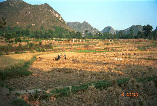 Evening scene at the time of the rice harvest near Pao Ma Cheng village, Teng Jiao township, Xingren country, Guizhou province 0010o23.jpg