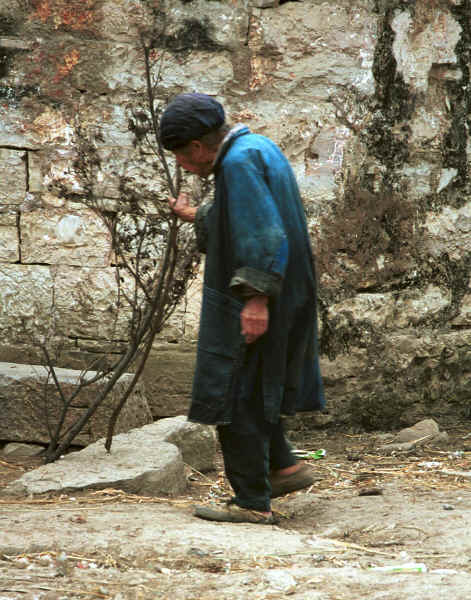 Old Bouyei woman walking alongside the outer wall of Shitou village, Huanggousu township, Zhen Nin county, Guizhou province 0010u04A.jpg